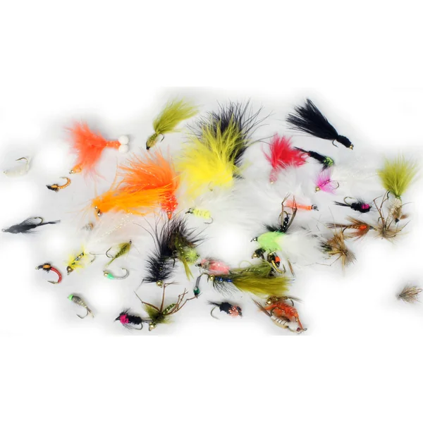 Stillwater Trout Fishery Selection x 50