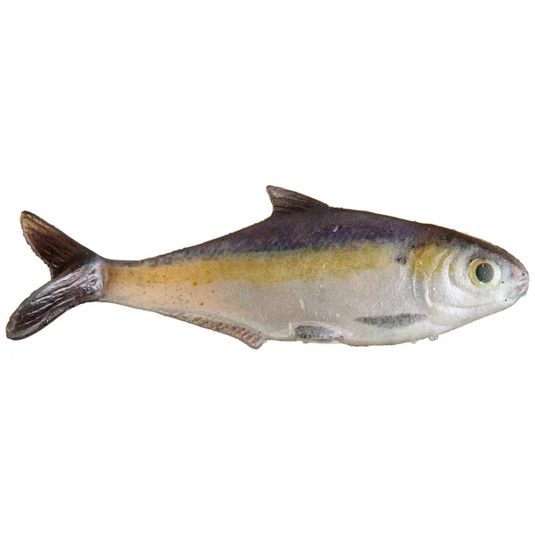 True Bass Texas Shad Line Through Swimbait 6"