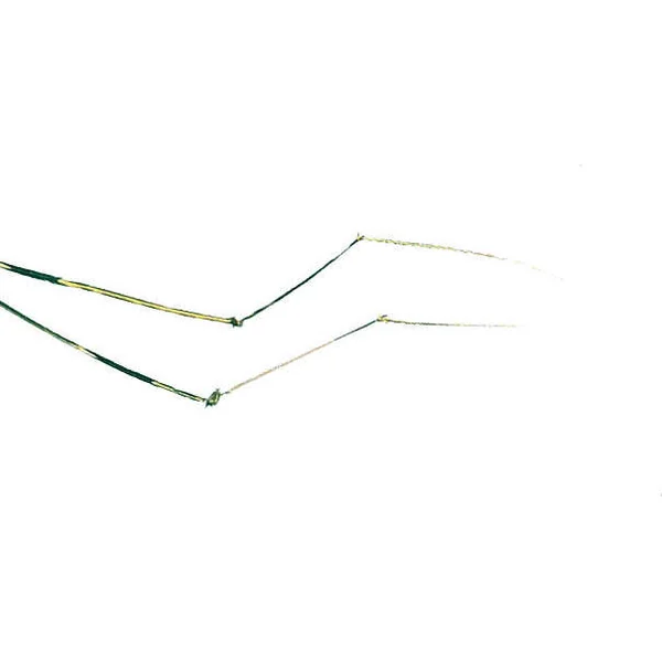 Turrall Legs Daddy Long Legs