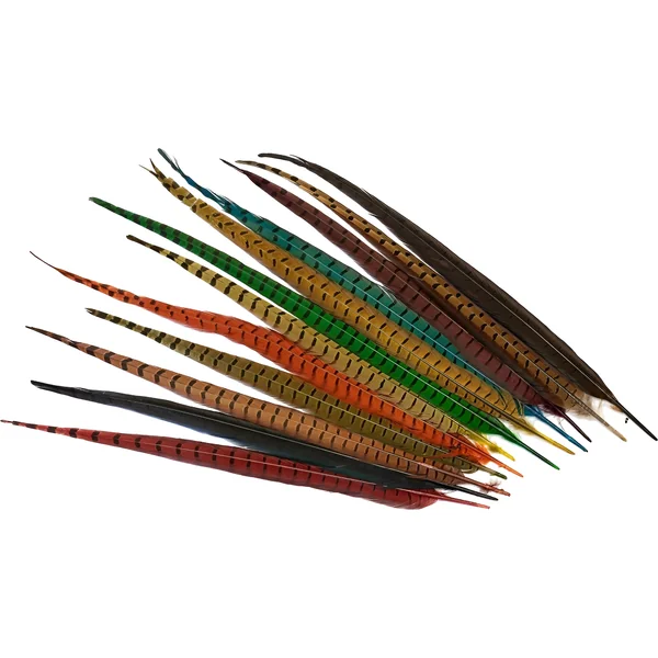Veniard Cock Pheasant Tail Complete Natural and Dyed