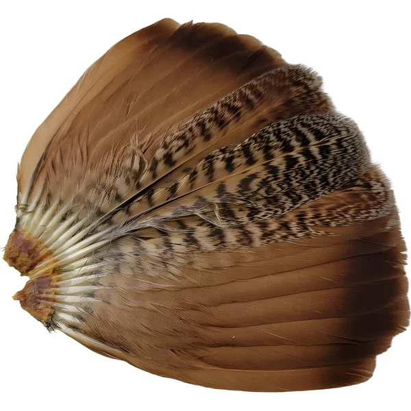 Veniard English Partridge Complete Tail