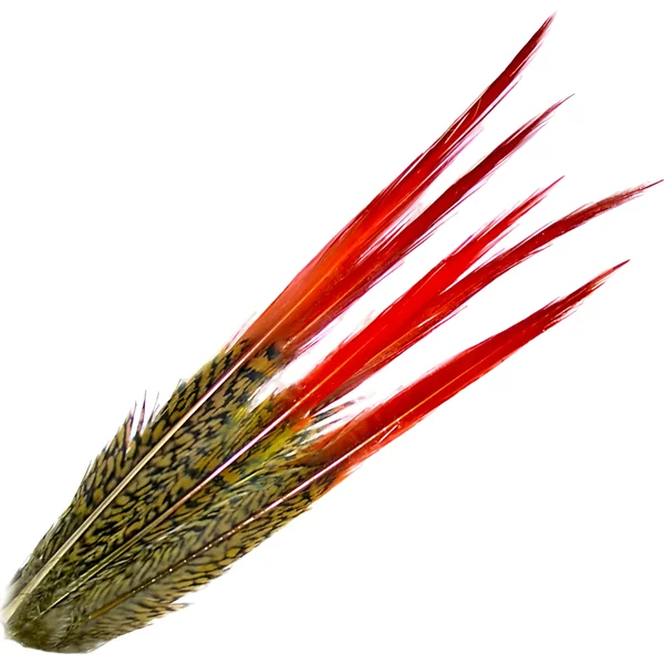 Veniard Golden Pheasant Red Spears