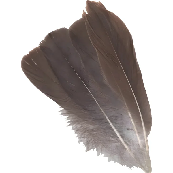 Veniard Grey Goose Herl Natural 4pc