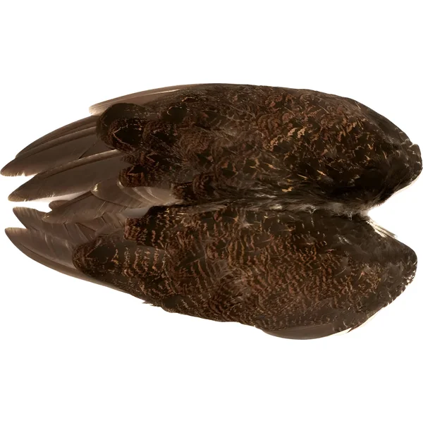 Veniard Grouse Whole Wings