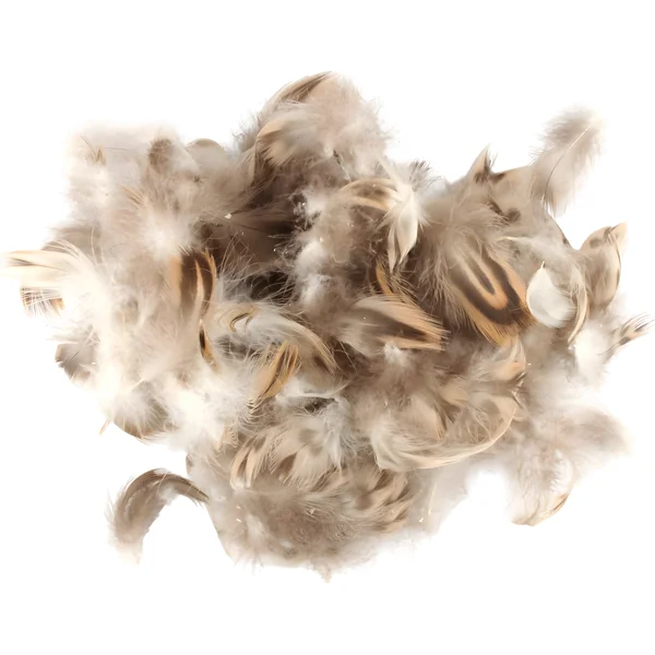 Veniard Hen Mallard Breast 2g