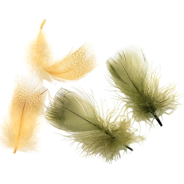 Veniard Mallard Drake Breast