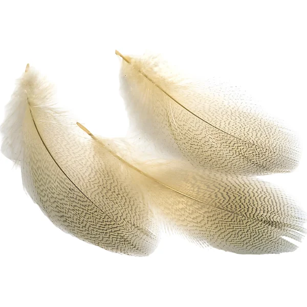 Veniard Mallard Selections Grey Flank