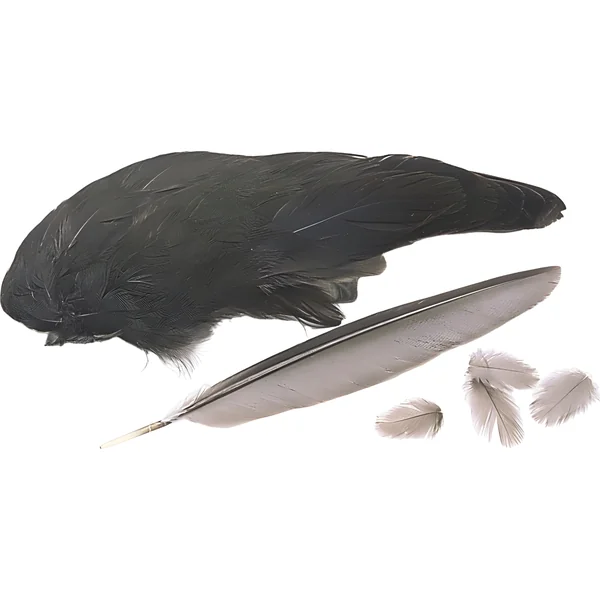 Veniard Moorhen Wings