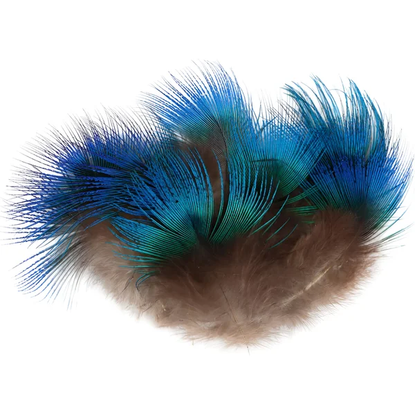 Veniard Peacock Blue Neck