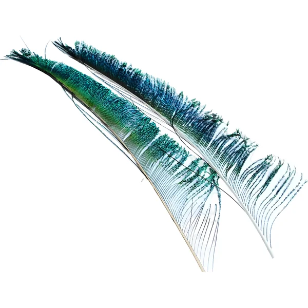 Veniard Peacock Swords