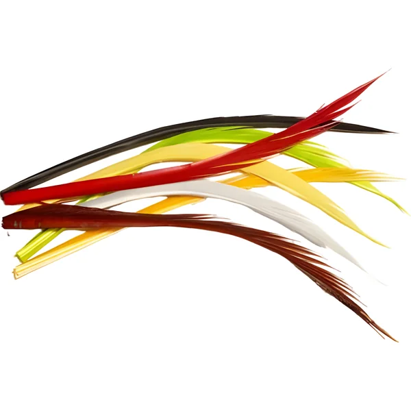 Veniard Turkey Biots