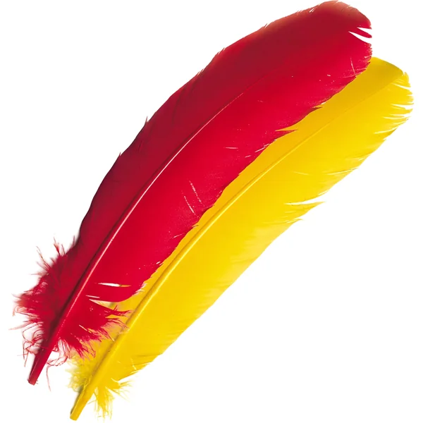 Veniard Turkey Wing Quills