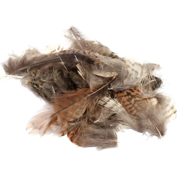 Veniard Woodcock Body Plumage