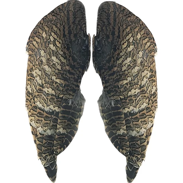Veniard Woodcock Wings