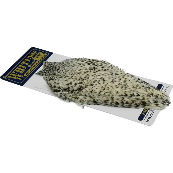 Whiting American Hen Cape