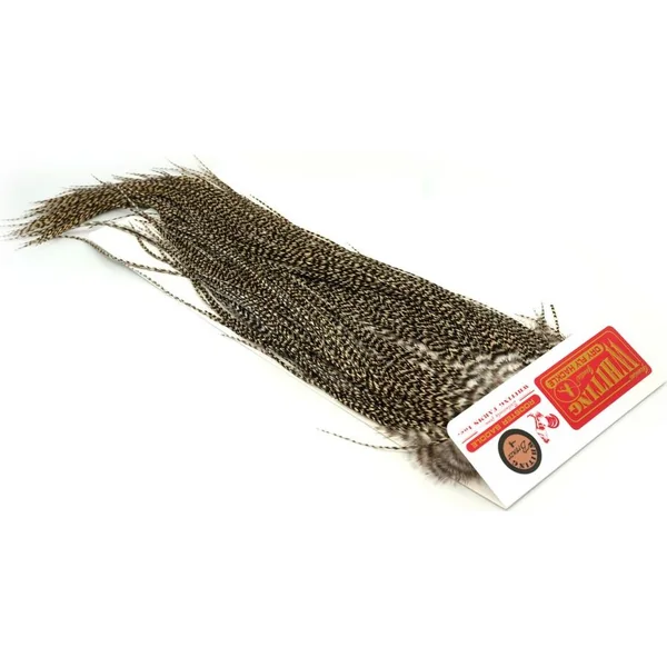 Whiting Bronze Grade Saddle