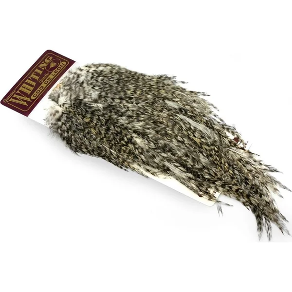 Whiting Coq De Leon Gold Saddle