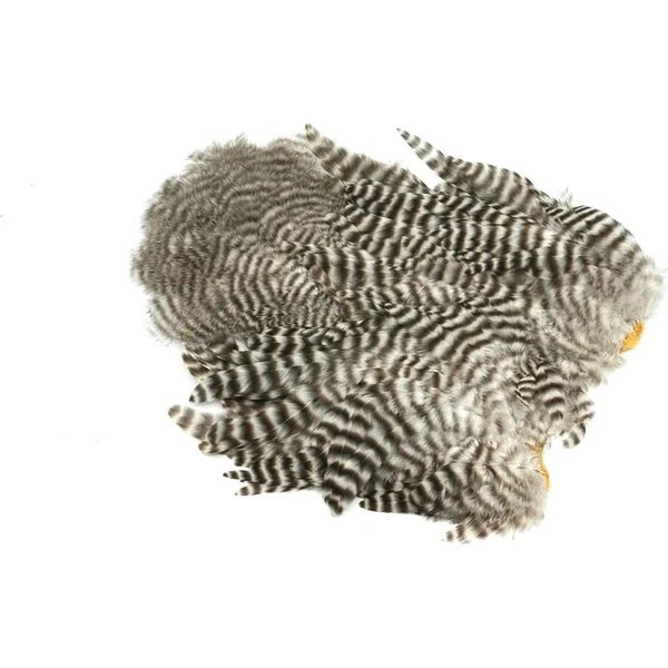 Whiting Rooster Soft Hackle with Chickabou